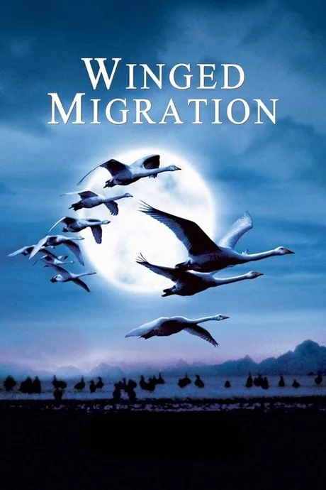 Cover of Winged Migration