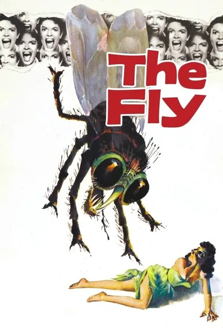 Cover of The Fly