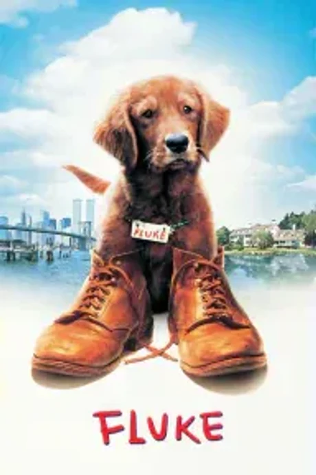 Cover of Fluke
