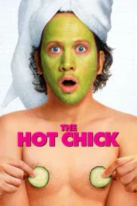 Cover of The Hot Chick