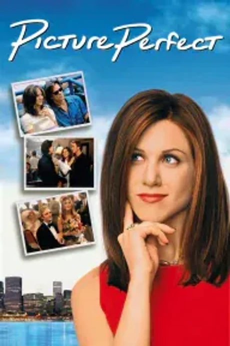 Cover of Picture Perfect